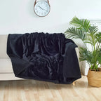 Black blanket draped over a chair in a living room with a clock and plant in the background.