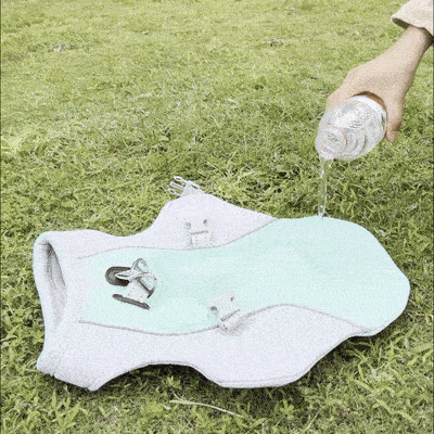 video showing water being poured on dog vest and installing on a happy dog