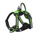 Green and black dog harness on a white background