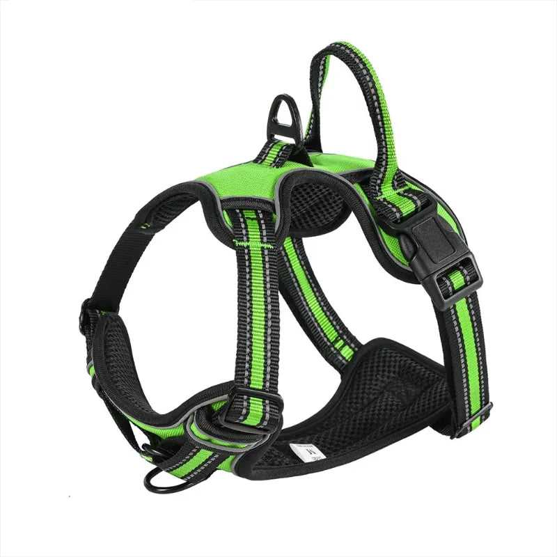 Green and black dog harness on a white background