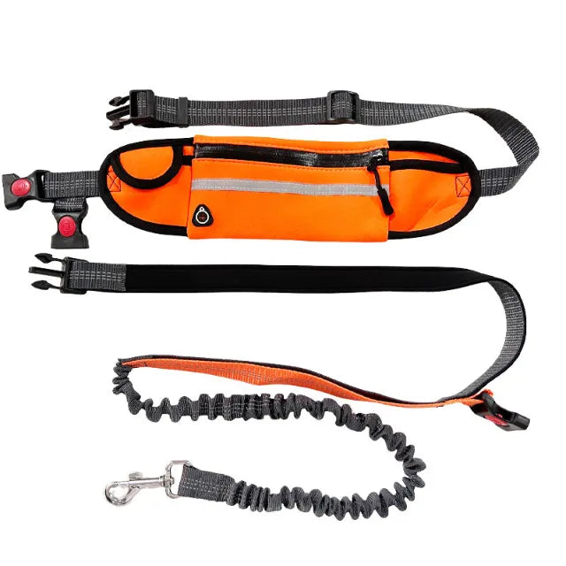 Orange hands free leash with a long leash on a white background