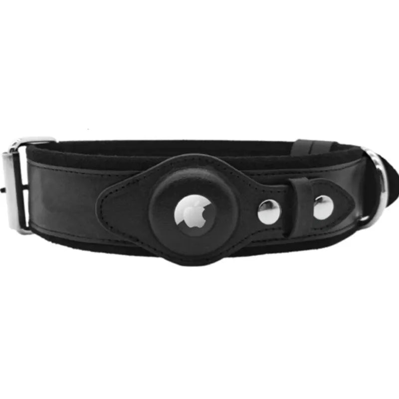 Black leather airtag dog collar with metallic accents on a white background