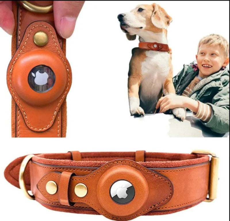 Brown leather airtag collar with boy holding dog