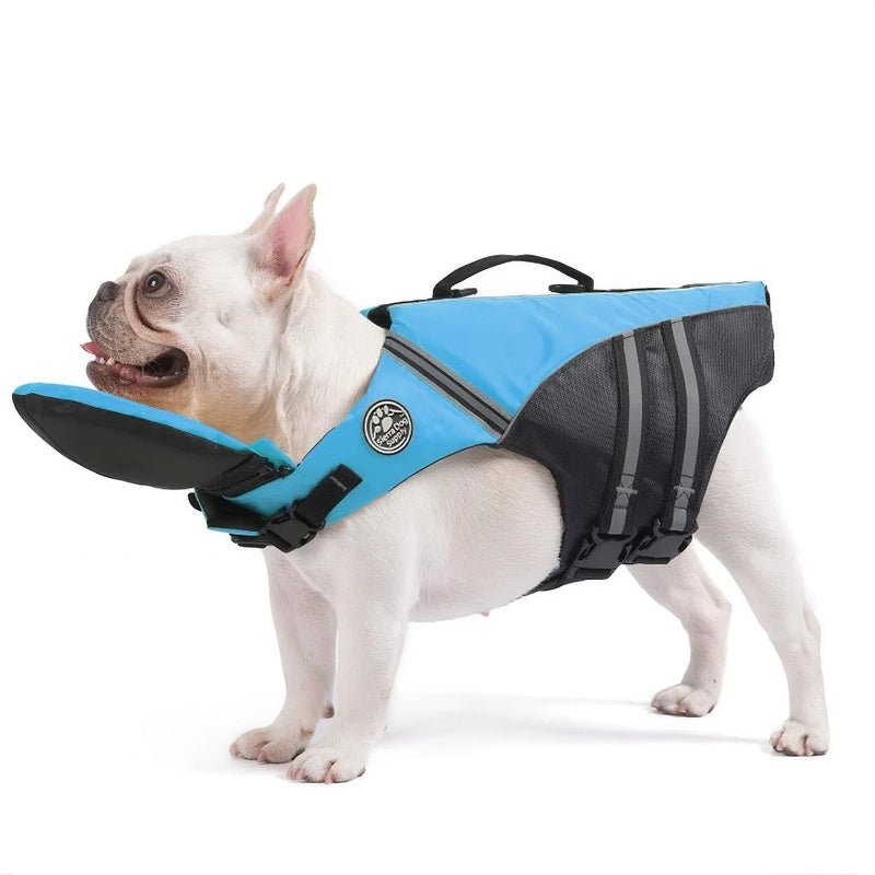 Dog wearing a blue and black life jacket on a white background