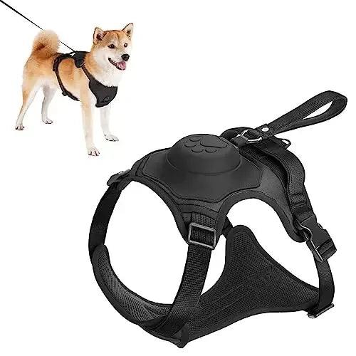 Dog wearing black harness with built in retractable leash and close-up of the harness on a white background