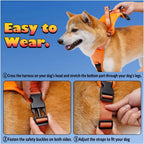 Dog wearing an orange harness with instructions on how to wear it, against a blue background.